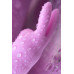 Нереалистичный вибратор Love to Love Hello Rabbit, силикон, фиолетовый, 24,5 см.