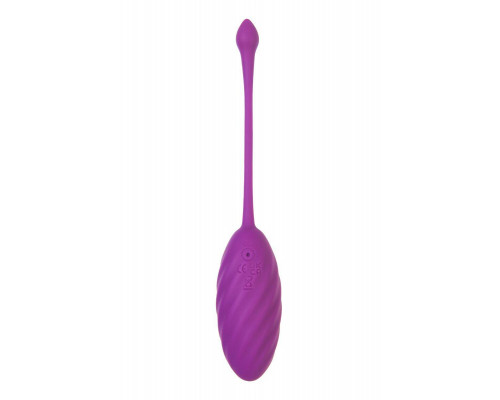Виброяйцо A-Toys by TOYFA Purr, силикон, фиолетовый, 18 см