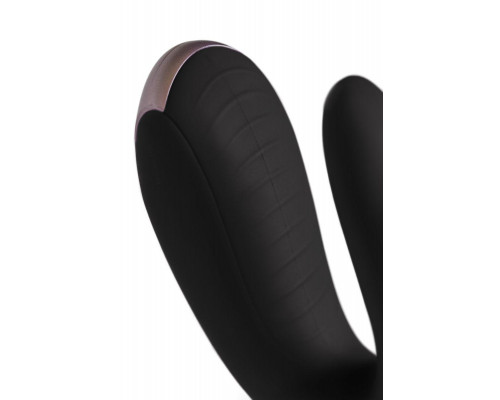 Стимулятор для пар Satisfyer Double Fun Connect App, с пультом ДУ, силикон, черный, 9 см