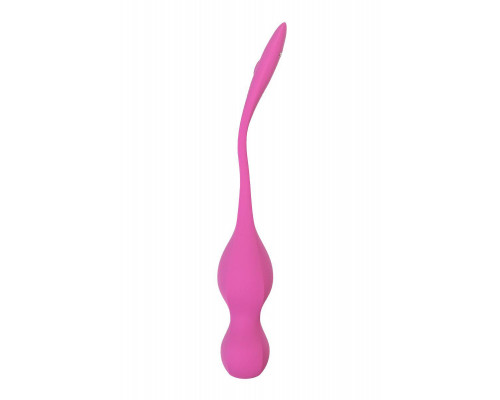 Вагинальные шарики с вибрацией Satisfyer Love Birds 1 Connect App, розовый, 22,2 см