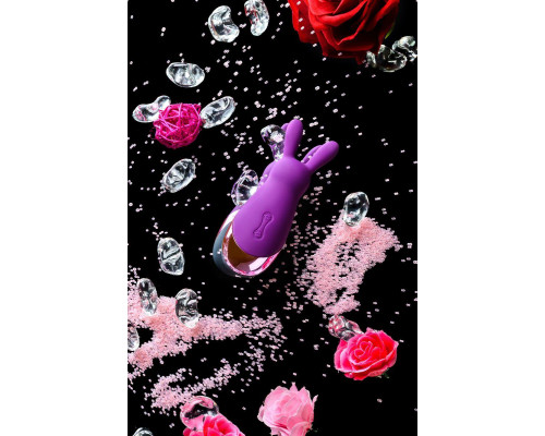 Стимулятор эрогенных зон Eromantica BUNNY, силикон, фиолетовый, 12,5