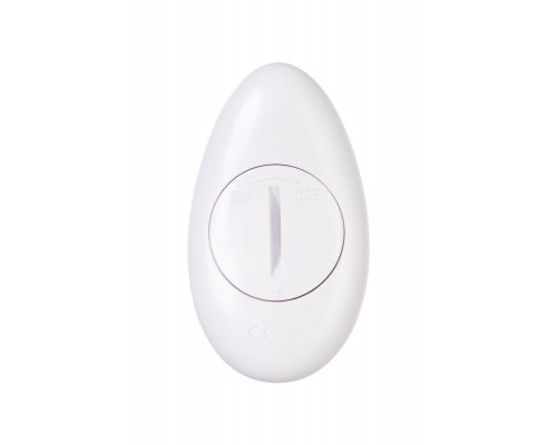 Виброяйцо A-Toys by TOYFA Purr, силикон, фиолетовый, 18 см