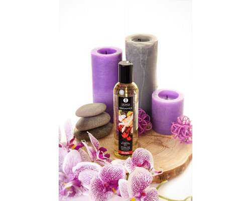 Масло массажное Shunga Organica «Кленовое наслаждение» (Maple Delight), 240 мл