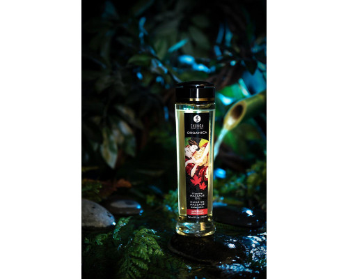 Масло массажное Shunga Organica «Кленовое наслаждение» (Maple Delight), 240 мл