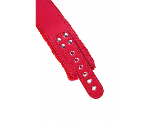 Ошейник TOYFA Basic, PU кожа, красный, 43 см